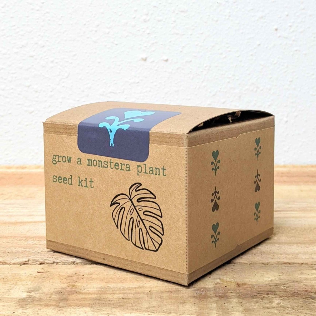 Grow a Monstera Seed Kit, photo 4