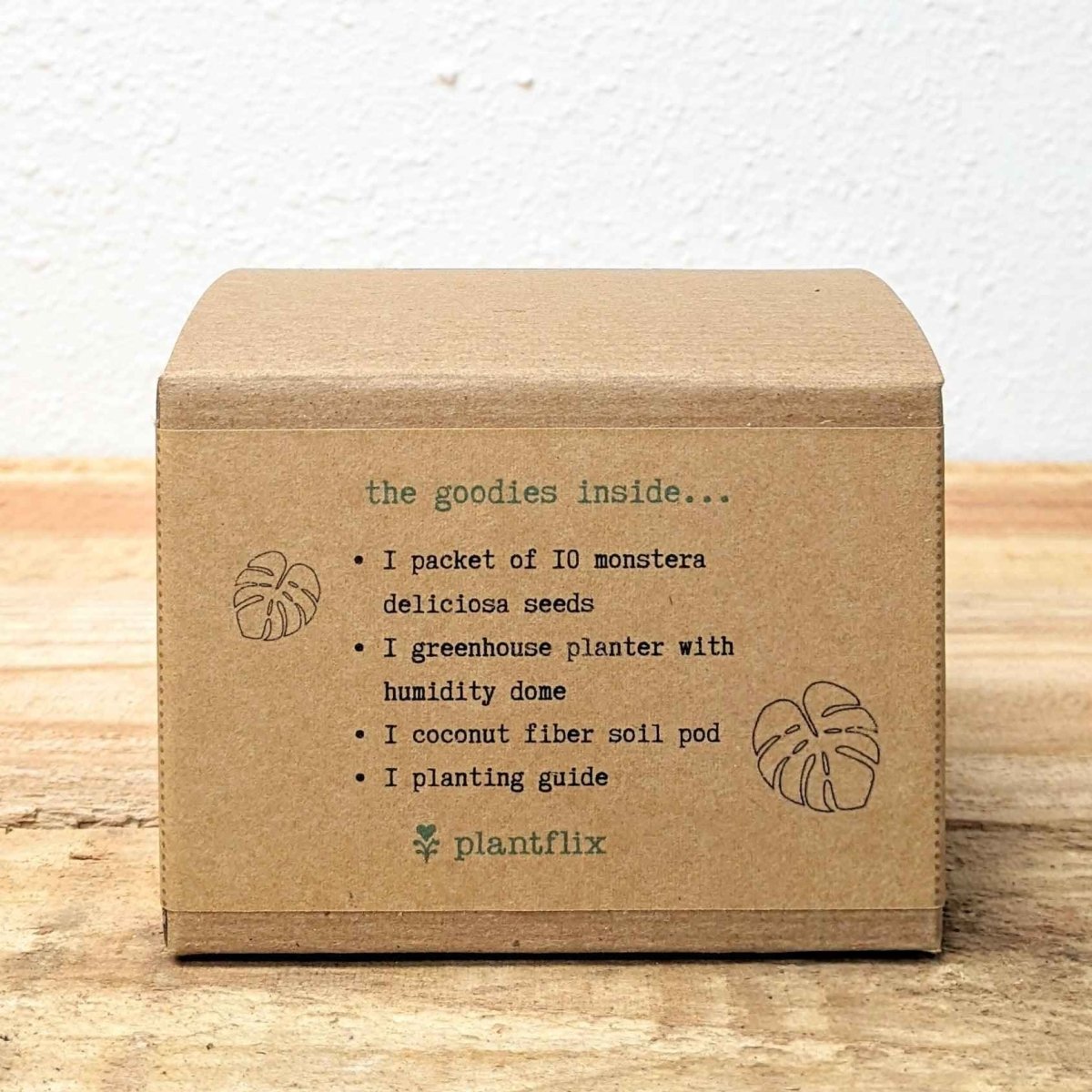 Grow a Monstera Seed Kit, photo 5