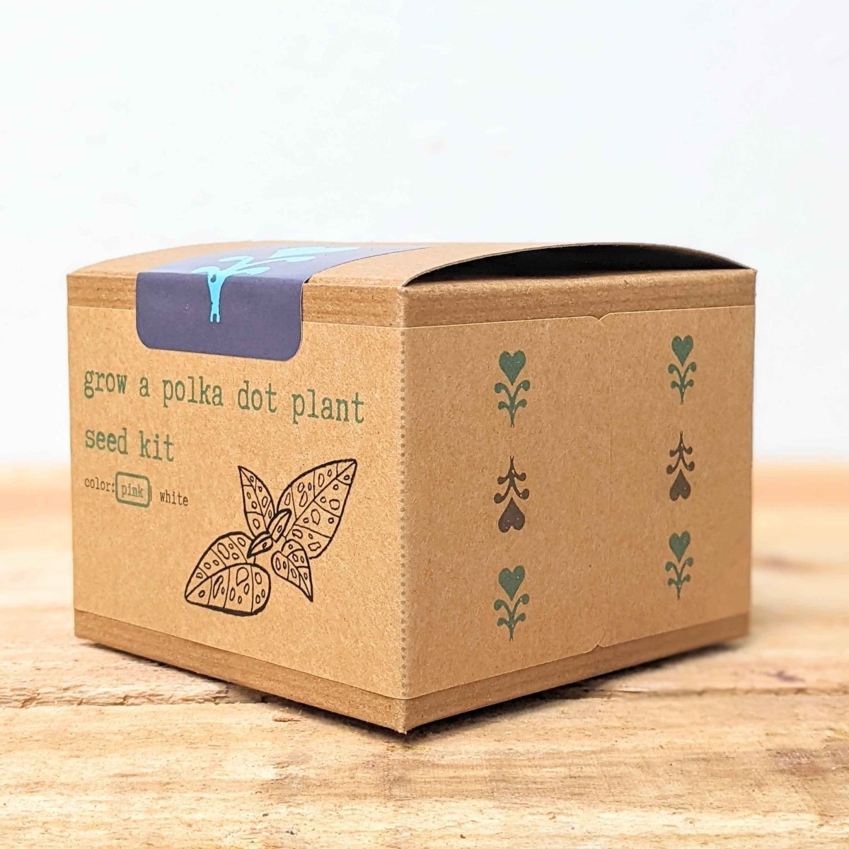 Grow a Polka Dot Seed Kit, photo 5