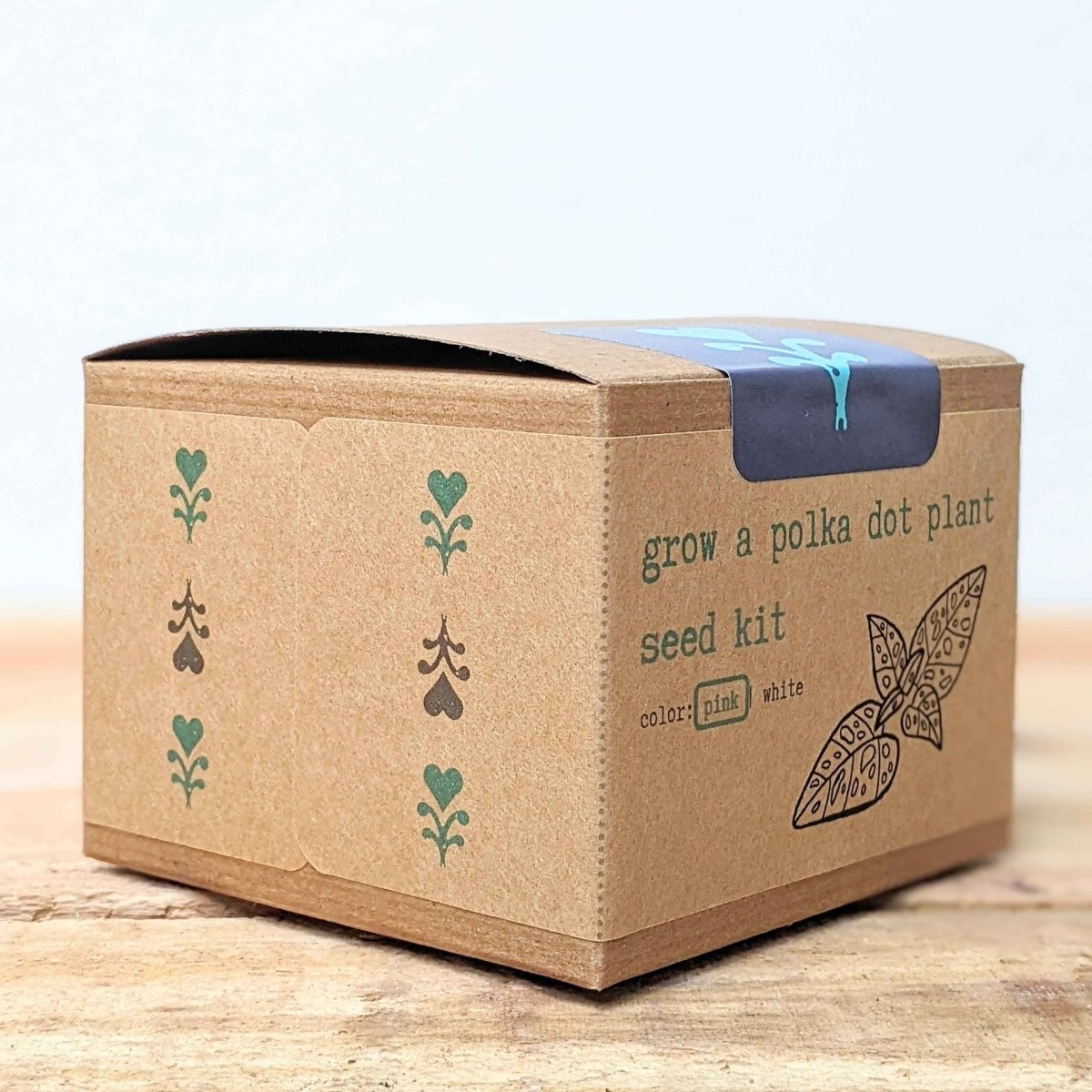 Grow a Polka Dot Seed Kit, photo 6