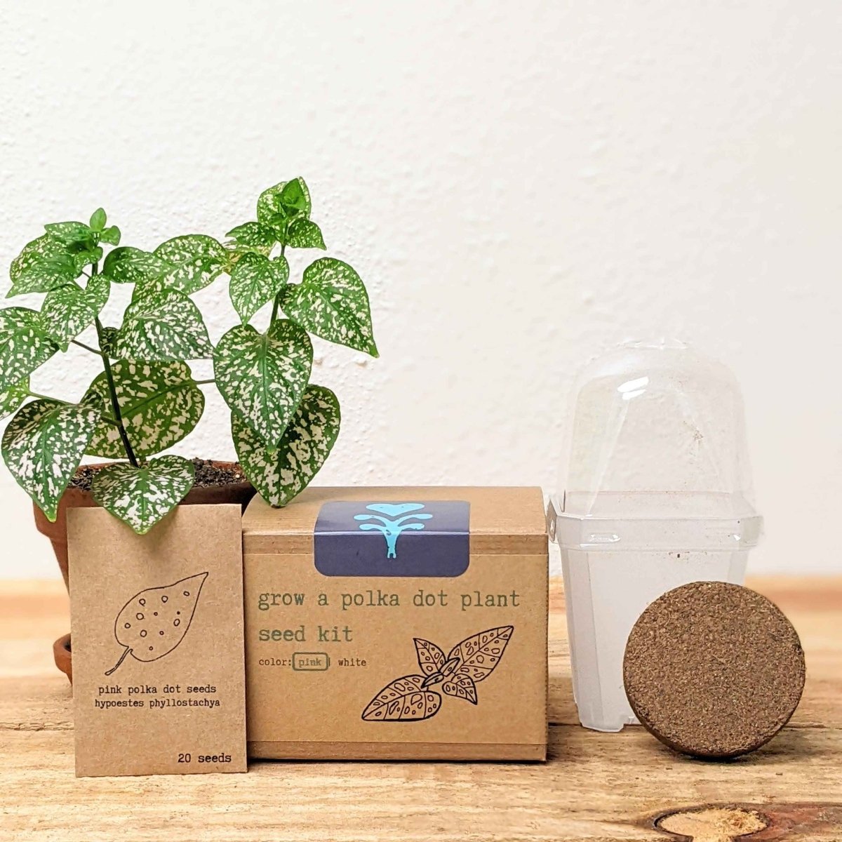 Grow a Polka Dot Seed Kit, photo 2