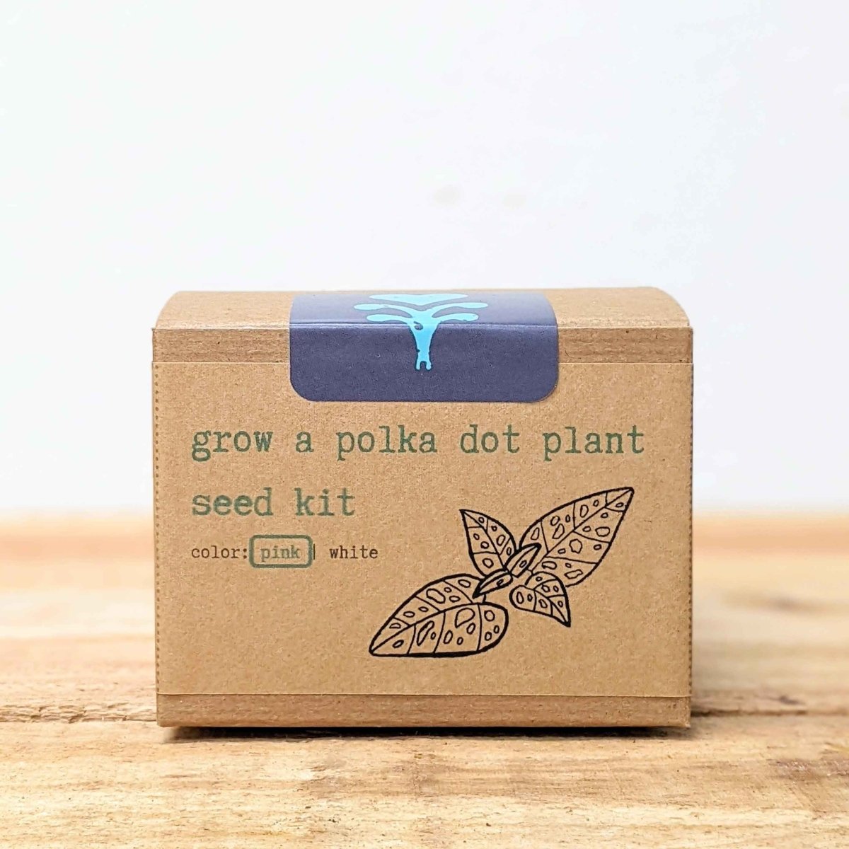 Grow a Polka Dot Seed Kit, photo 4