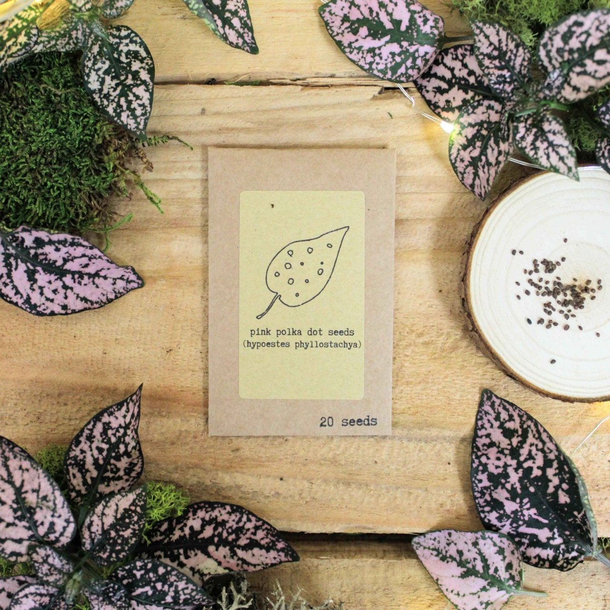 Grow a Polka Dot Seed Kit, photo 3