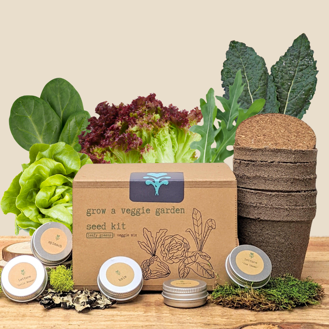 Grow a Veggie Garden Leafy Greens Seed Kit, photo 1