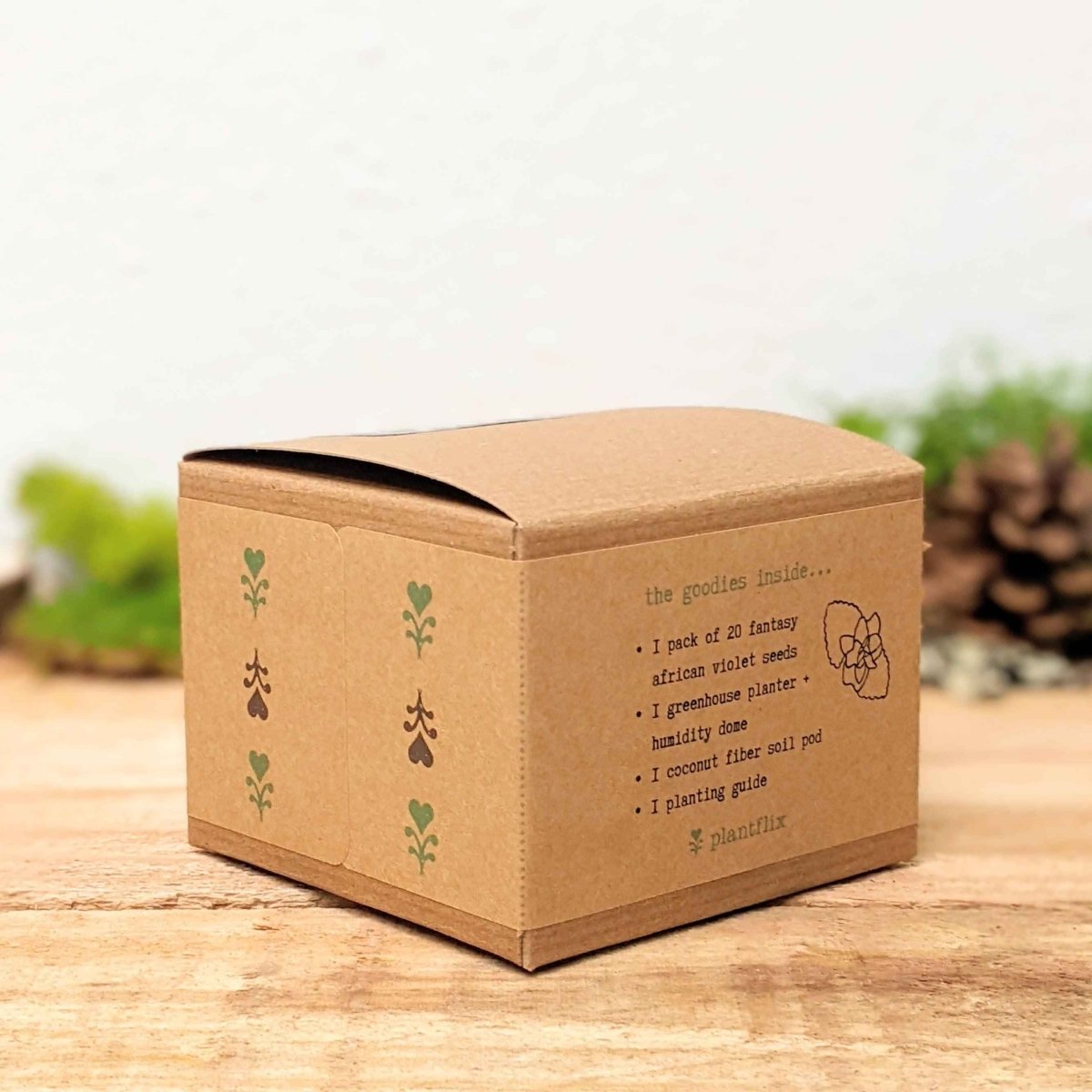 Grow an African Violet Seed Kit, photo 5