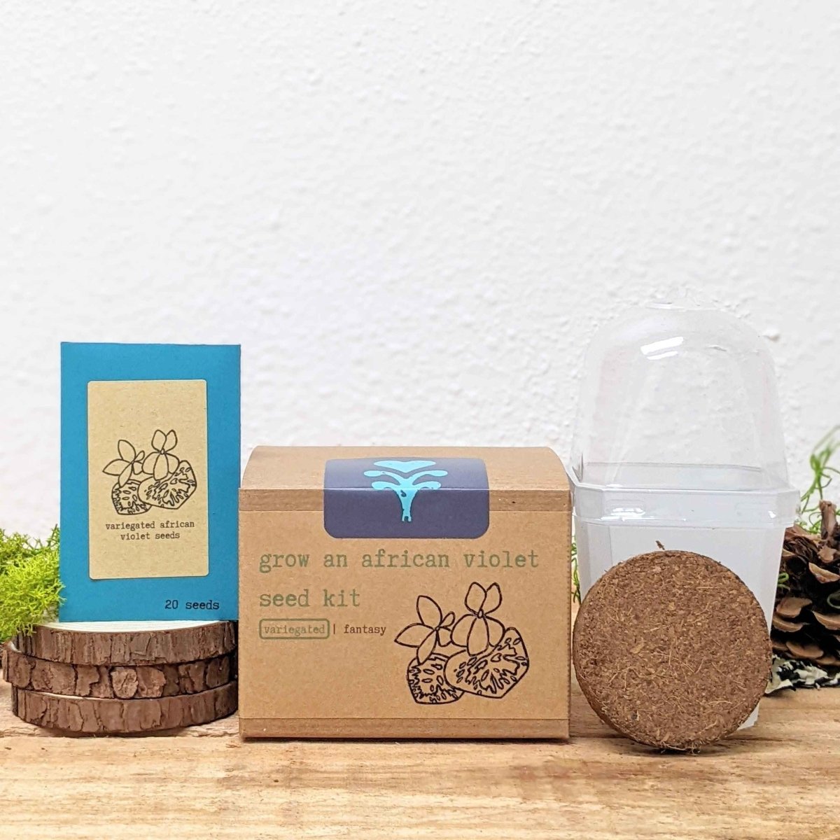 Grow an African Violet Seed Kit, photo 2