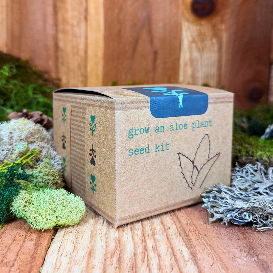 Grow an Aloe Plant Seed Kit, photo 4