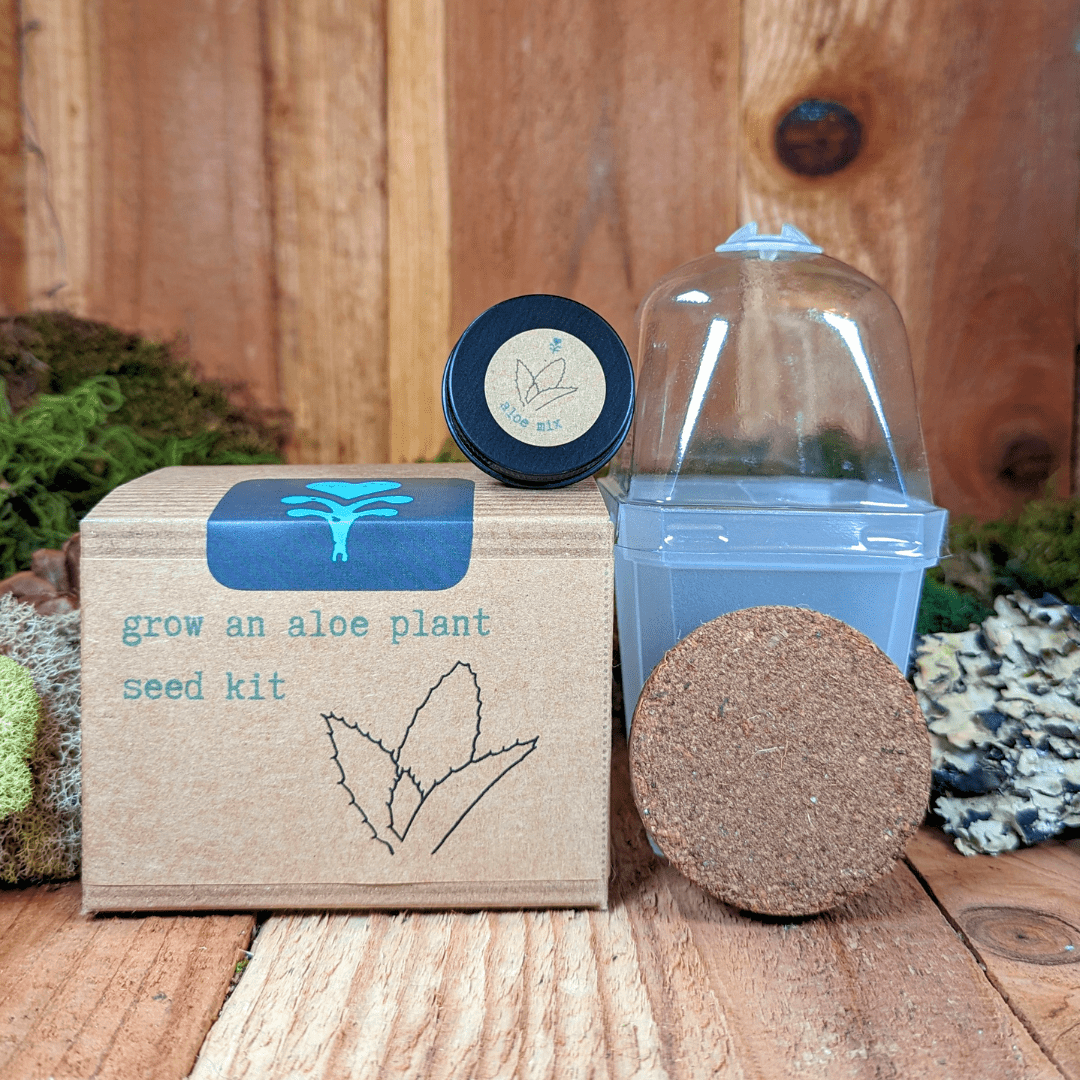 Grow an Aloe Plant Seed Kit, photo 2