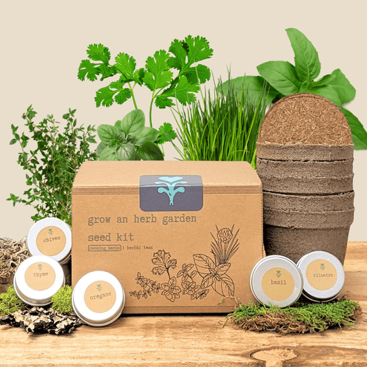 Grow an Herb Garden Cooking Herbs Seed Kit, photo 1