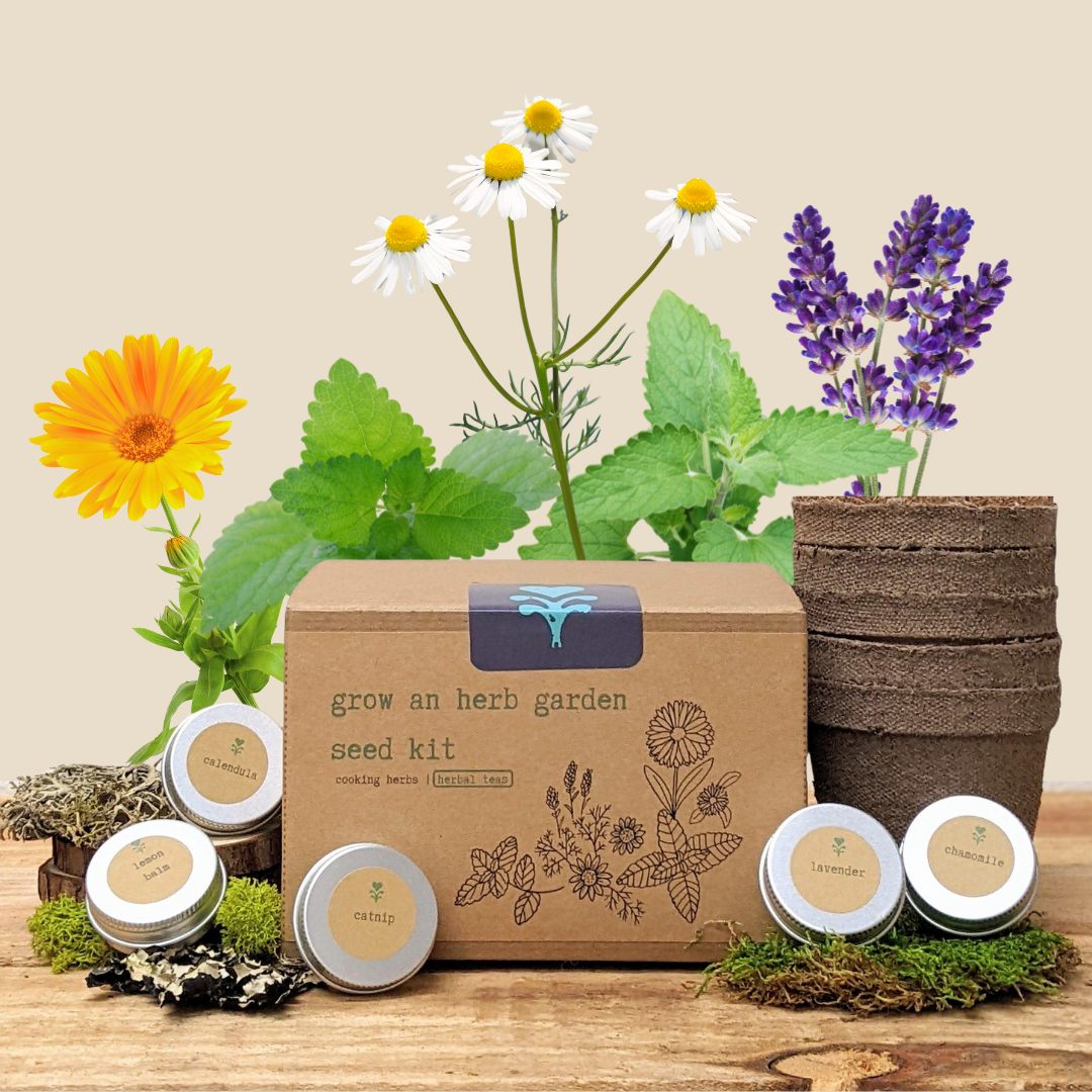 Grow an Herb Garden Herbal Teas Seed Kit, photo 1