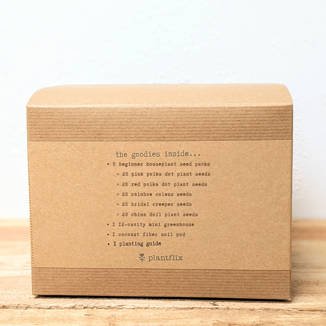 Grow an Indoor Jungle Houseplant Seed Kit, photo 4