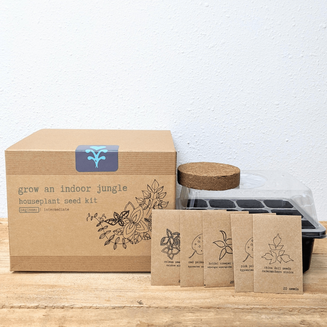 Grow an Indoor Jungle Houseplant Seed Kit, photo 2
