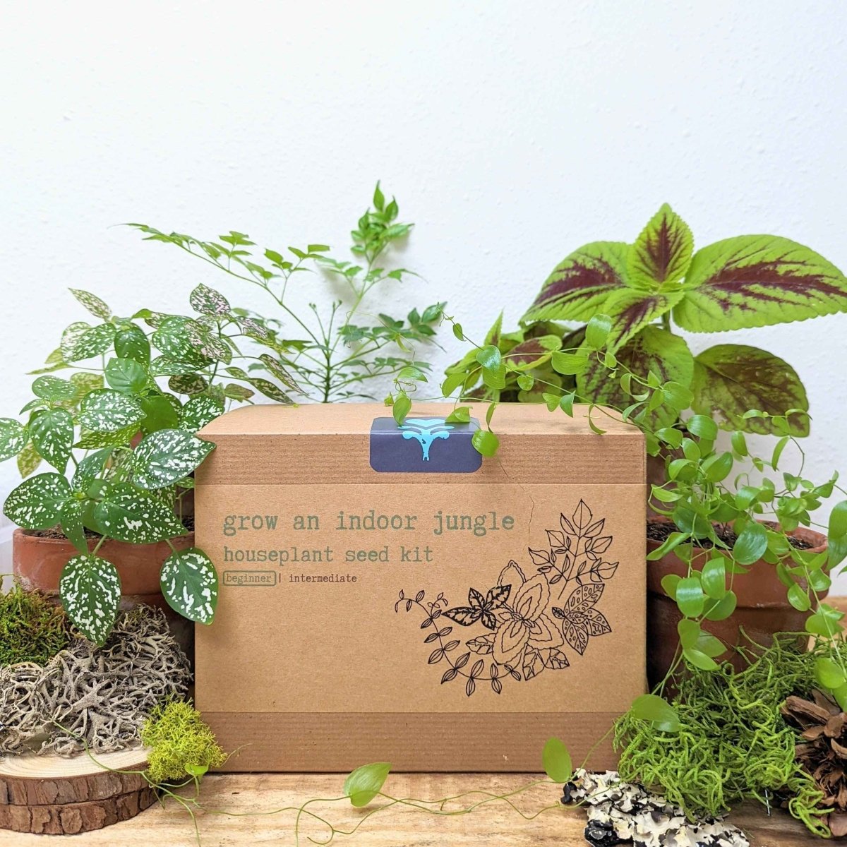 Grow an Indoor Jungle Houseplant Seed Kit, photo 1