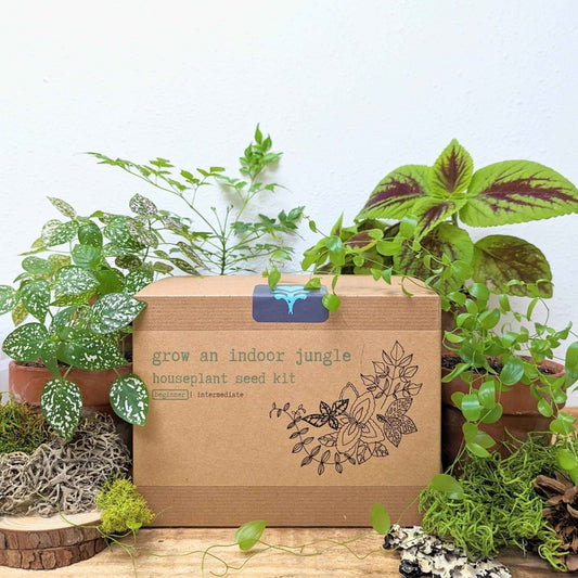 Grow an Indoor Jungle Houseplant Seed Kit, photo 1
