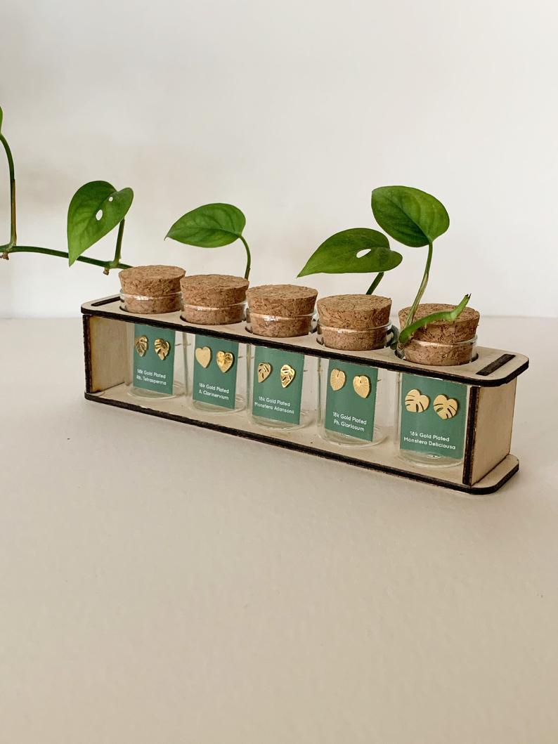 Custom Etched Propagation Stand + 3 Set Tiny Houseplant Earring Studs