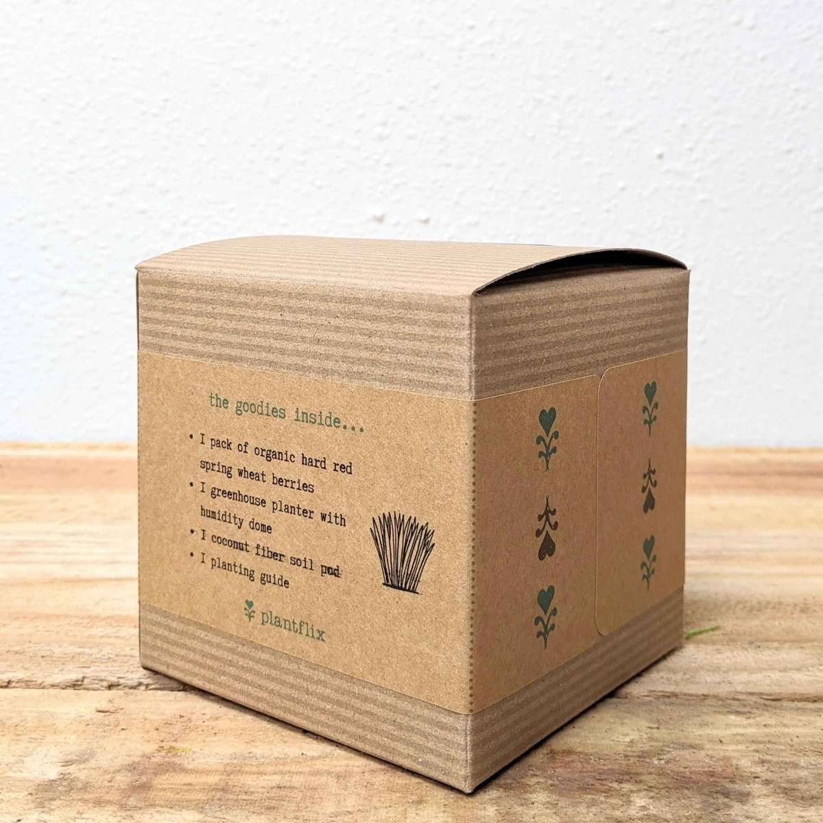 Organic Petgrass Grow Kit, photo 4