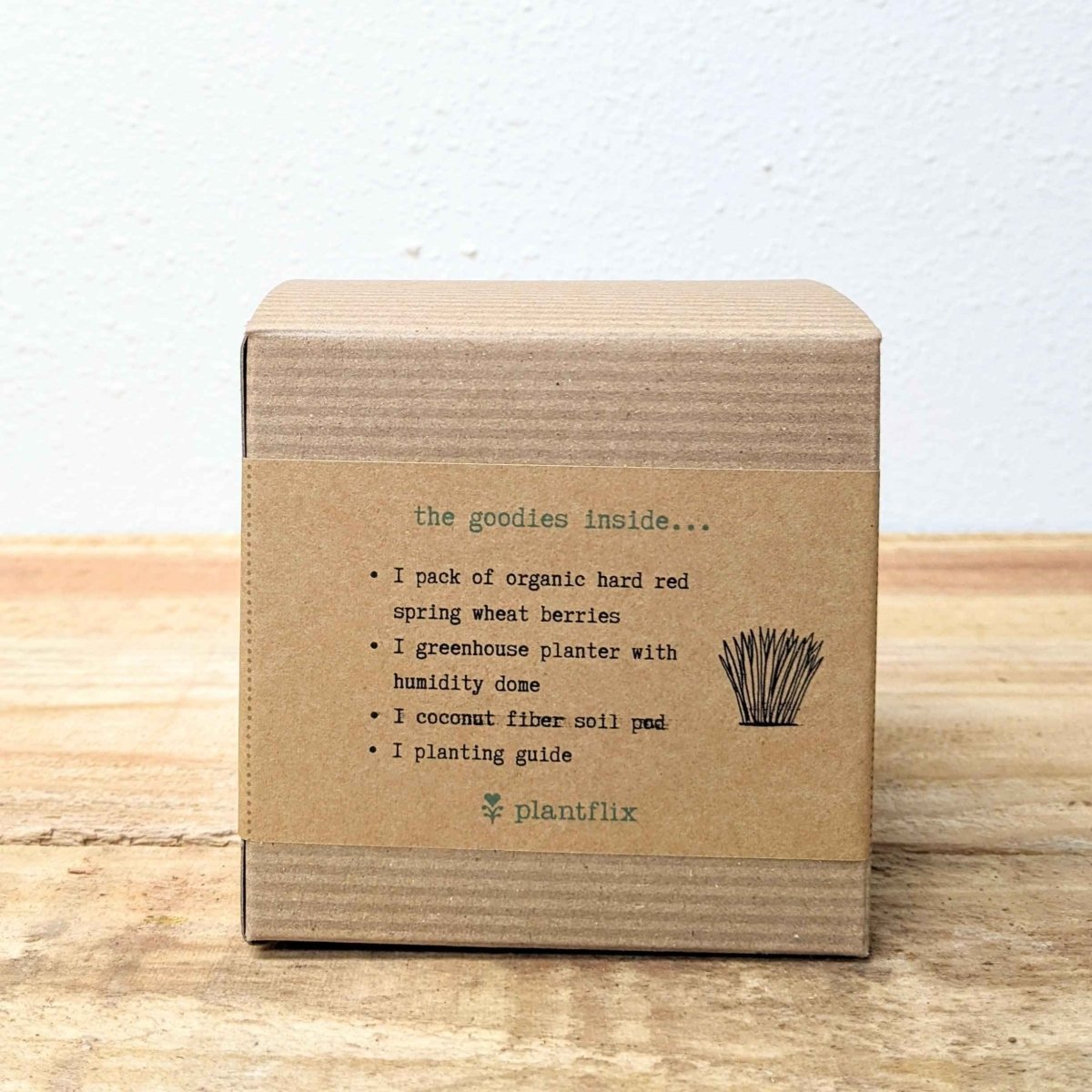 Organic Petgrass Grow Kit, photo 5