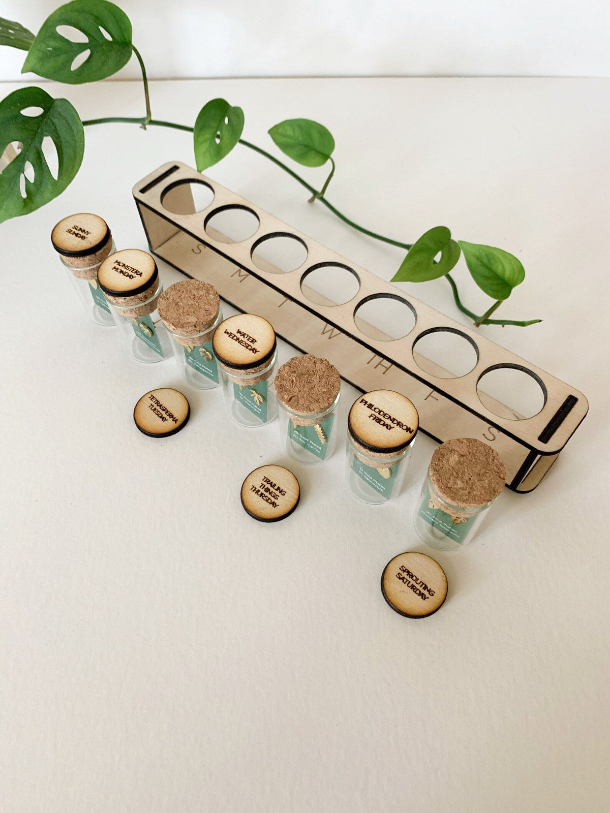 Custom Etched Propagation Stand + 3 Set Tiny Houseplant Earring Studs
